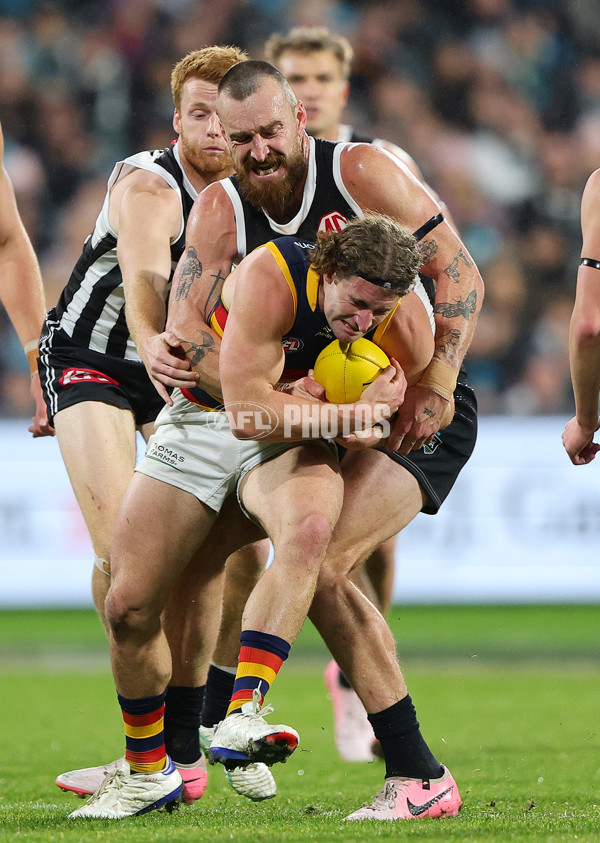 AFL 2024 Round 23 - Port Adelaide v Adelaide - A-53098341