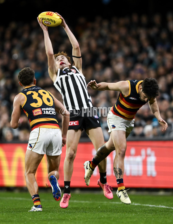 AFL 2024 Round 23 - Port Adelaide v Adelaide - A-53098359