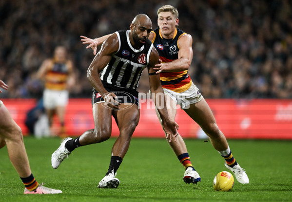 AFL 2024 Round 23 - Port Adelaide v Adelaide - A-53098360