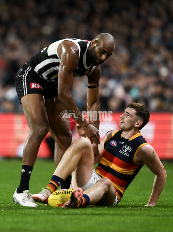 AFL 2024 Round 23 - Port Adelaide v Adelaide - A-53098368