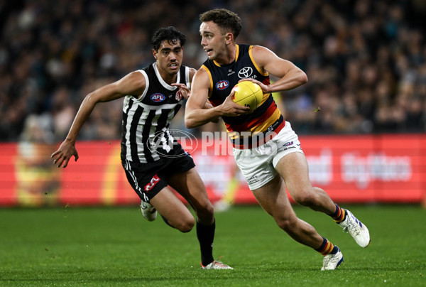 AFL 2024 Round 23 - Port Adelaide v Adelaide - A-53098384