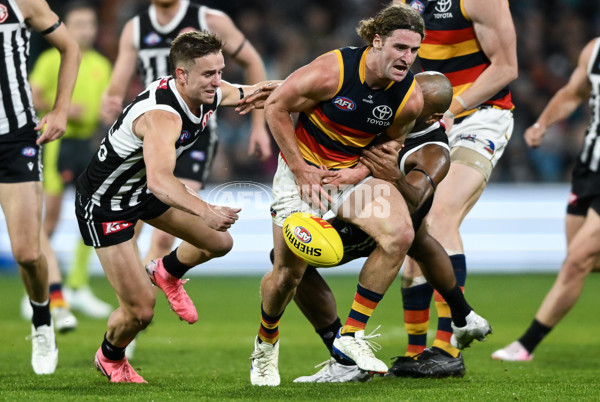 AFL 2024 Round 23 - Port Adelaide v Adelaide - A-53098835