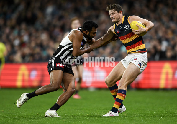 AFL 2024 Round 23 - Port Adelaide v Adelaide - A-53098856