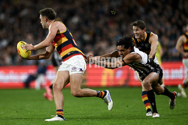 AFL 2024 Round 23 - Port Adelaide v Adelaide - A-53098874