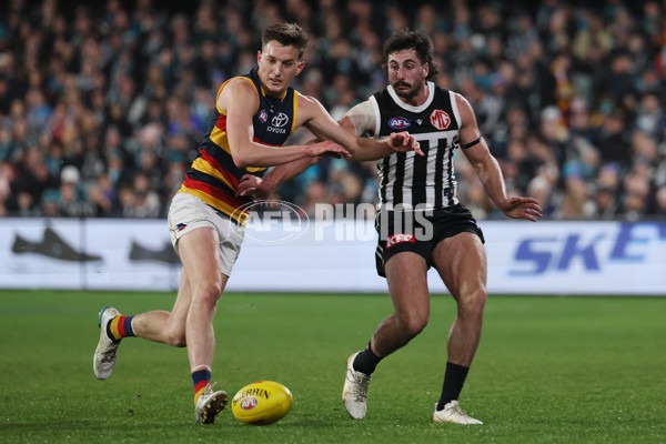 AFL 2024 Round 23 - Port Adelaide v Adelaide - A-53098876