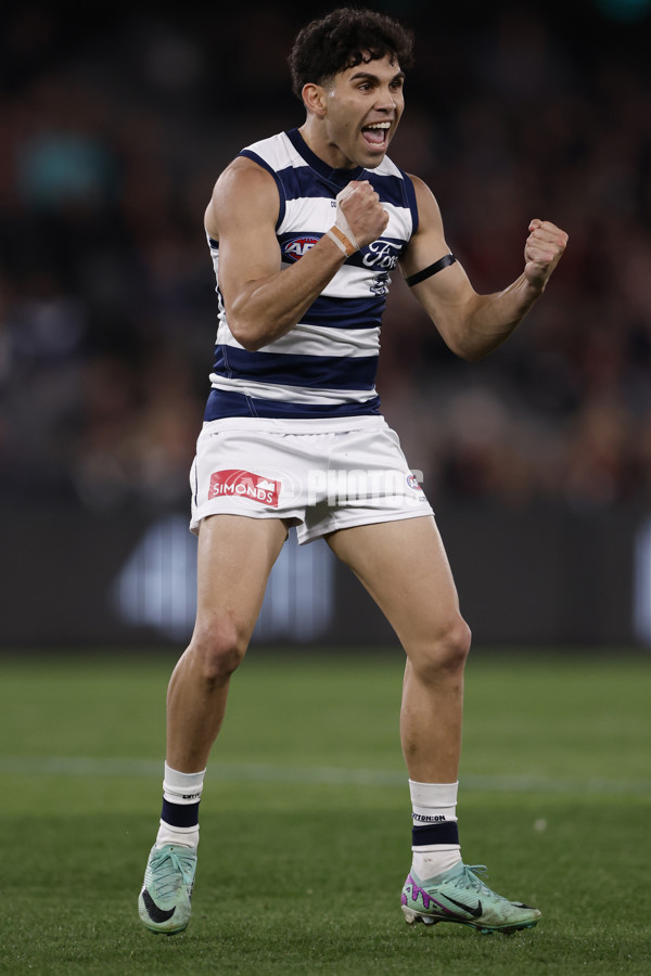 AFL 2024 Round 23 - St Kilda v Geelong - A-53098887