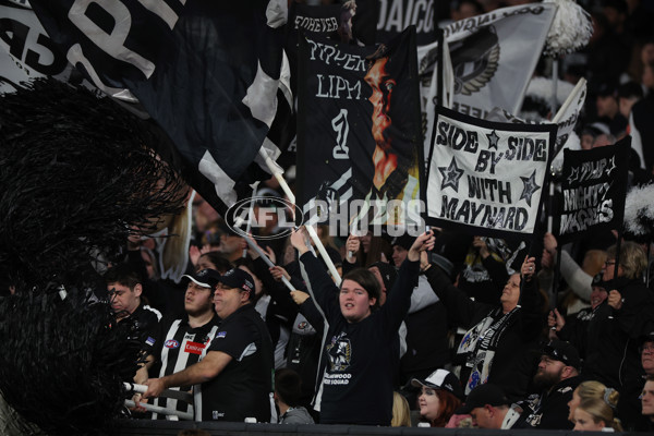 AFL 2024 Round 23 - Collingwood v Brisbane - A-53098896
