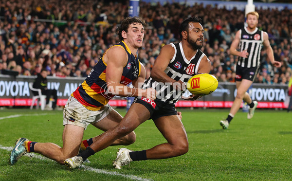 AFL 2024 Round 23 - Port Adelaide v Adelaide - A-53098919