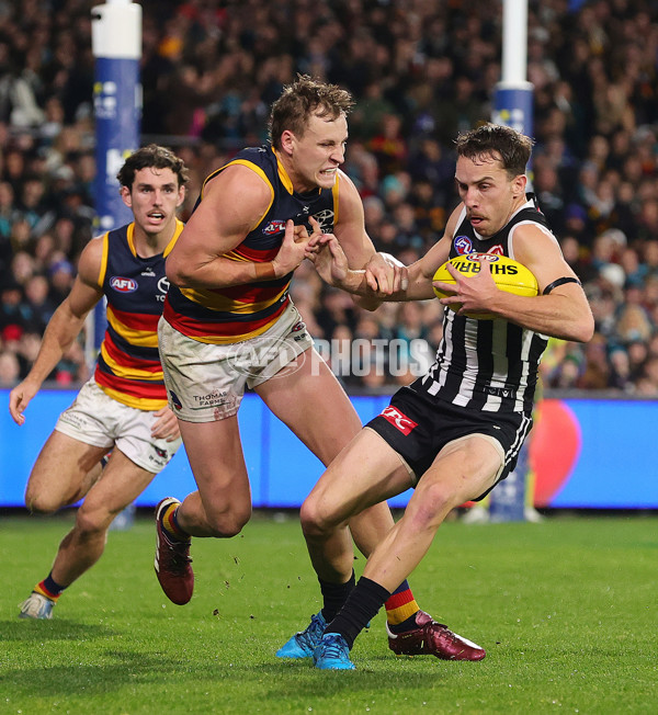 AFL 2024 Round 23 - Port Adelaide v Adelaide - A-53098924