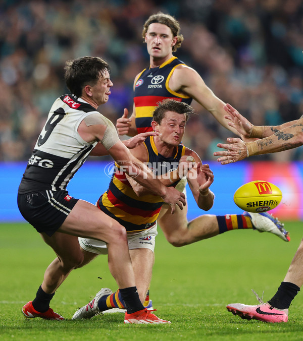 AFL 2024 Round 23 - Port Adelaide v Adelaide - A-53100879