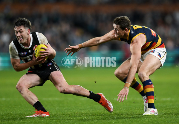 AFL 2024 Round 23 - Port Adelaide v Adelaide - A-53100881