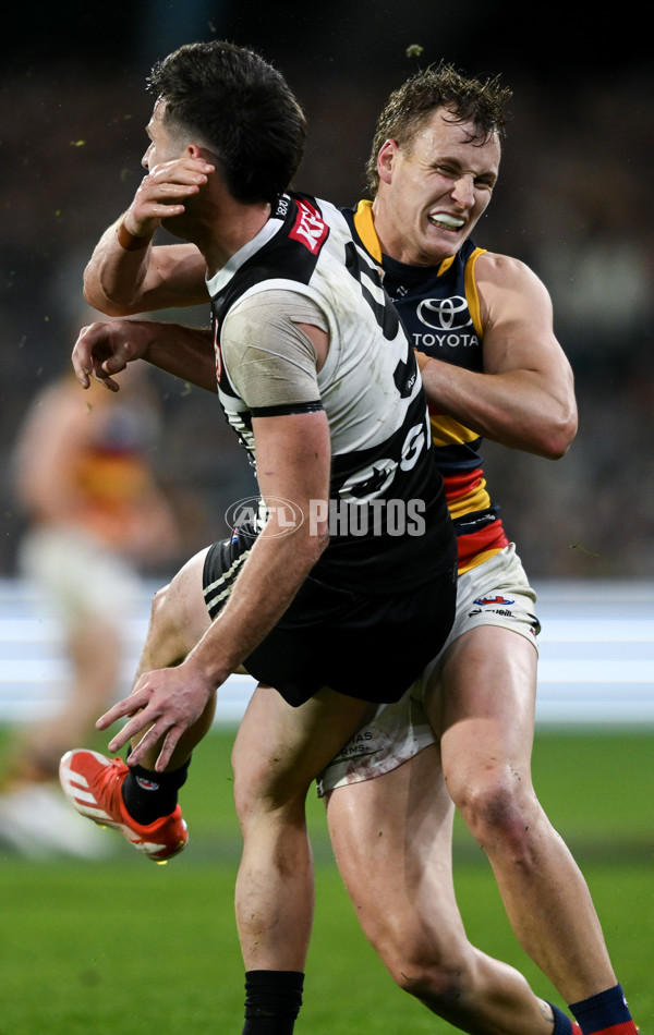 AFL 2024 Round 23 - Port Adelaide v Adelaide - A-53100886