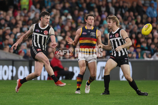 AFL 2024 Round 23 - Port Adelaide v Adelaide - A-53100912