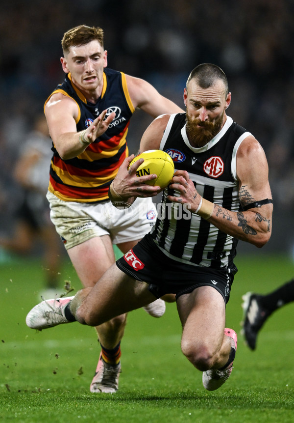 AFL 2024 Round 23 - Port Adelaide v Adelaide - A-53100917