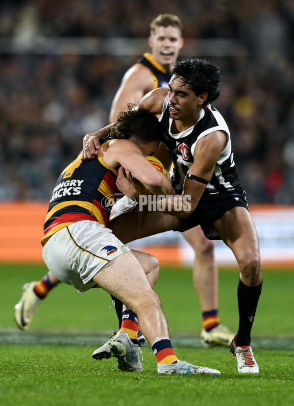 AFL 2024 Round 23 - Port Adelaide v Adelaide - A-53100937