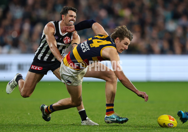 AFL 2024 Round 23 - Port Adelaide v Adelaide - A-53101862