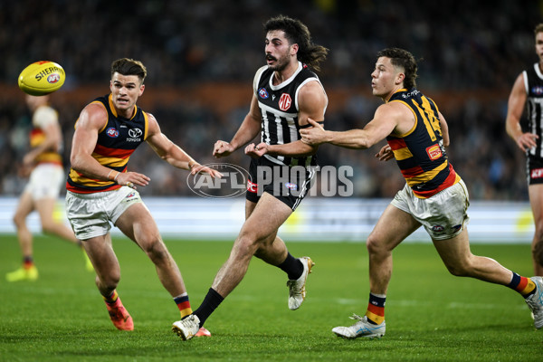 AFL 2024 Round 23 - Port Adelaide v Adelaide - A-53101863