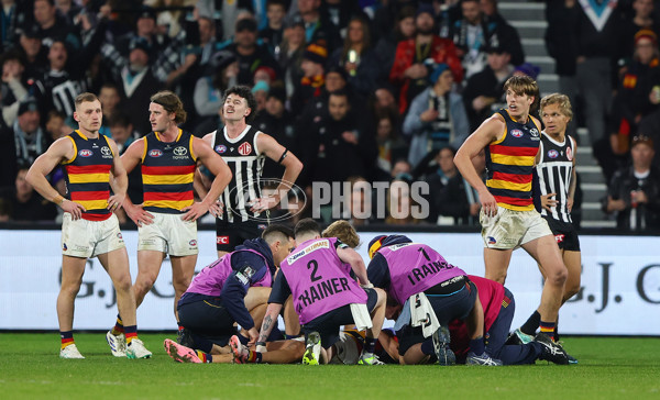 AFL 2024 Round 23 - Port Adelaide v Adelaide - A-53101943