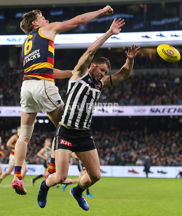 AFL 2024 Round 23 - Port Adelaide v Adelaide - A-53103601