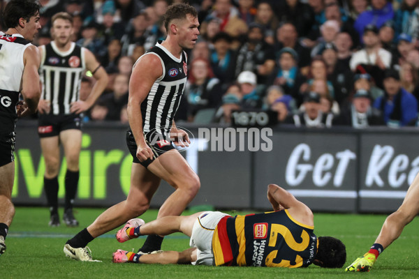 AFL 2024 Round 23 - Port Adelaide v Adelaide - A-53103656