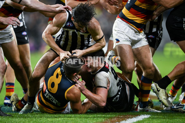 AFL 2024 Round 23 - Port Adelaide v Adelaide - A-53103666