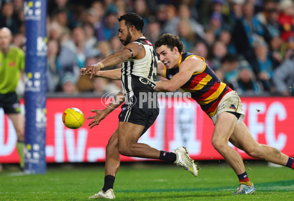 AFL 2024 Round 23 - Port Adelaide v Adelaide - A-53103671