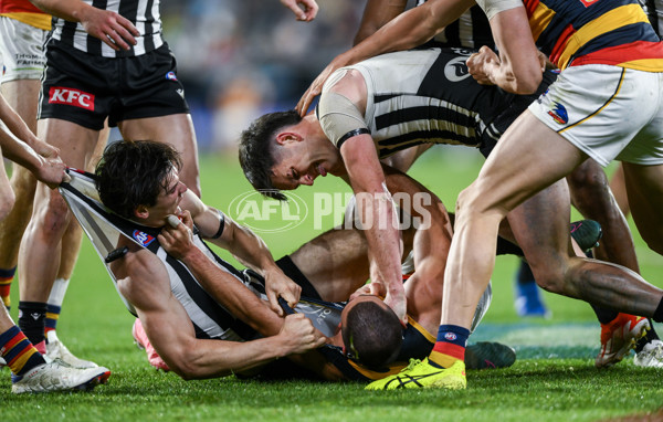 AFL 2024 Round 23 - Port Adelaide v Adelaide - A-53103673