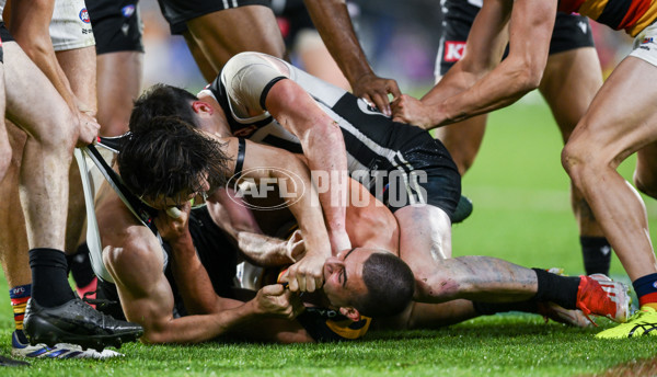 AFL 2024 Round 23 - Port Adelaide v Adelaide - A-53104746