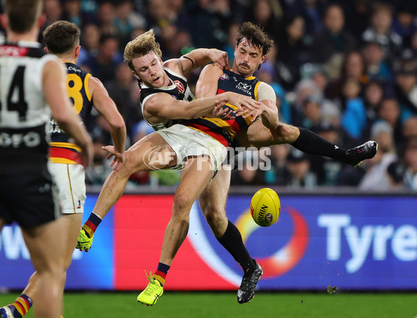 AFL 2024 Round 23 - Port Adelaide v Adelaide - A-53104747