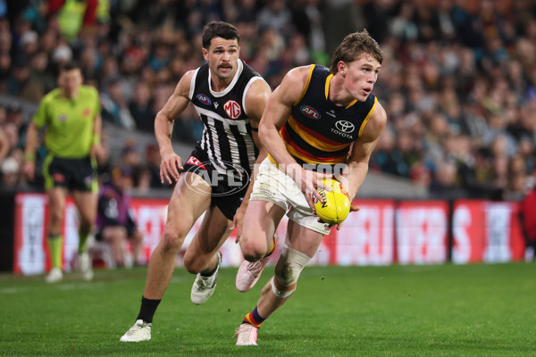 AFL 2024 Round 23 - Port Adelaide v Adelaide - A-53104767