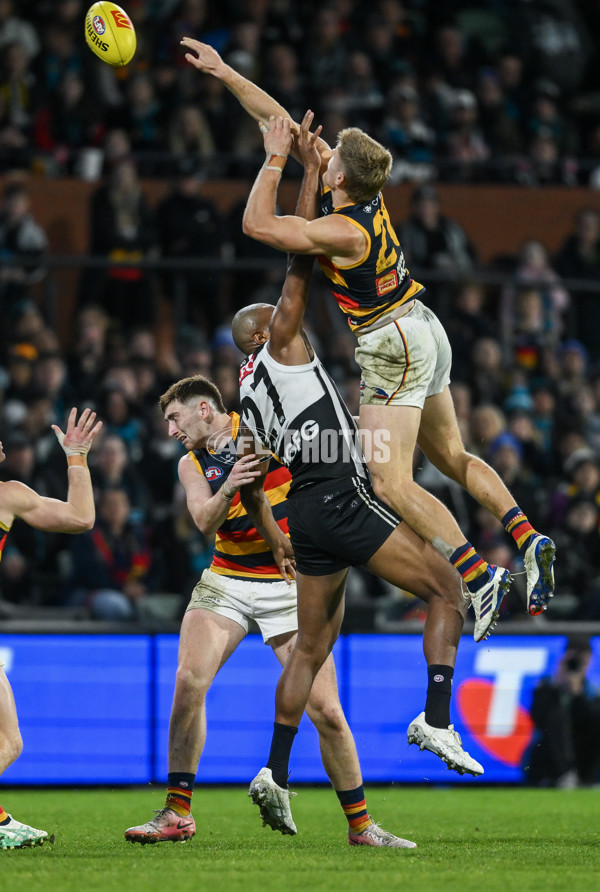 AFL 2024 Round 23 - Port Adelaide v Adelaide - A-53104777