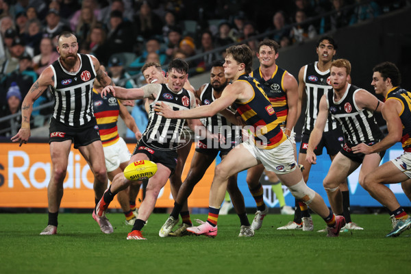 AFL 2024 Round 23 - Port Adelaide v Adelaide - A-53104779