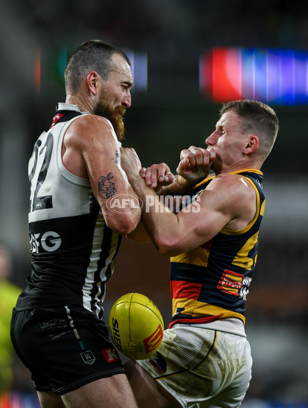 AFL 2024 Round 23 - Port Adelaide v Adelaide - A-53106260