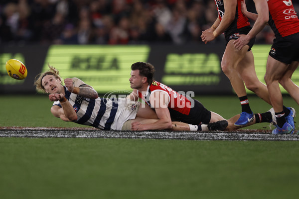 AFL 2024 Round 23 - St Kilda v Geelong - A-53106265