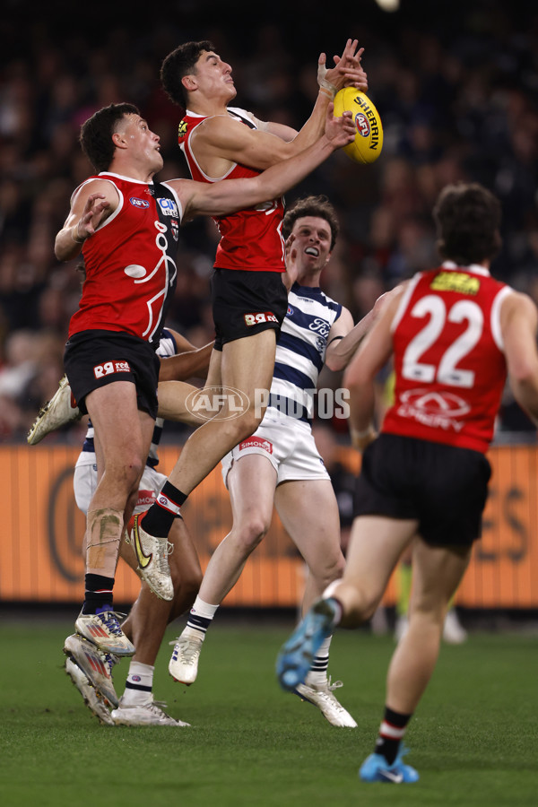 AFL 2024 Round 23 - St Kilda v Geelong - A-53106266