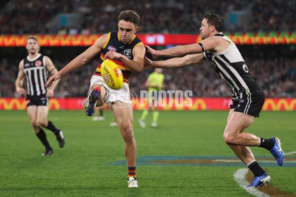 AFL 2024 Round 23 - Port Adelaide v Adelaide - A-53106274