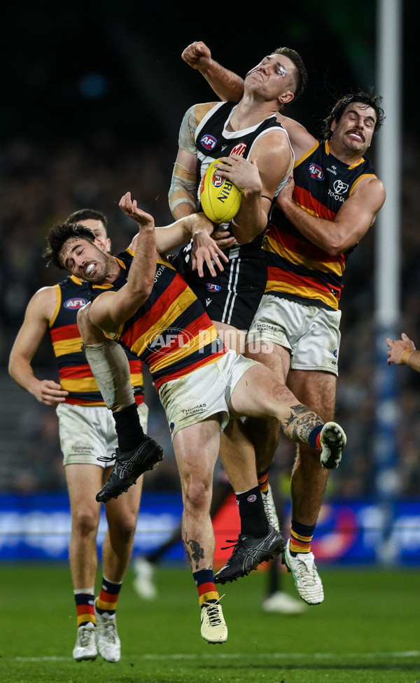 AFL 2024 Round 23 - Port Adelaide v Adelaide - A-53107113