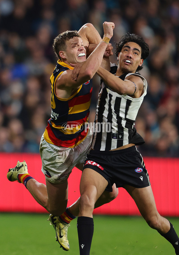 AFL 2024 Round 23 - Port Adelaide v Adelaide - A-53107119