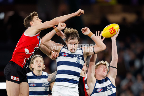 AFL 2024 Round 23 - St Kilda v Geelong - A-53109849