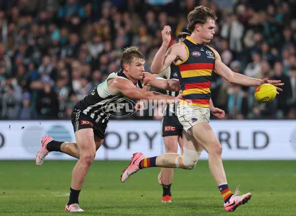 AFL 2024 Round 23 - Port Adelaide v Adelaide - A-53109913