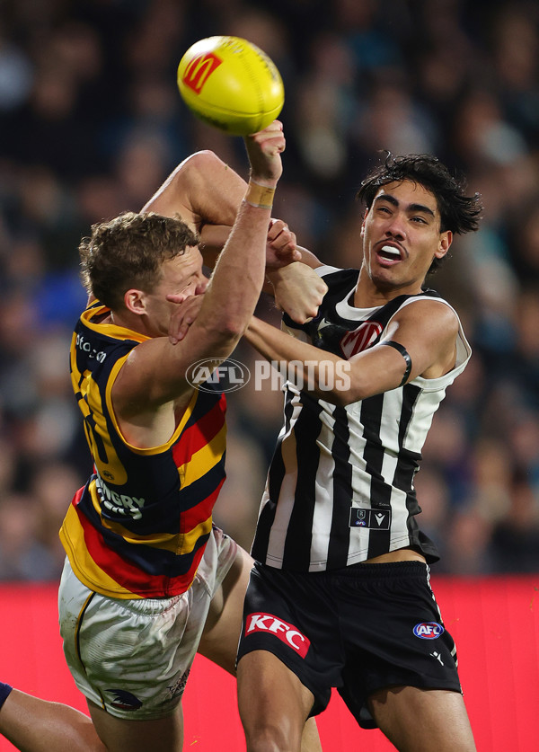 AFL 2024 Round 23 - Port Adelaide v Adelaide - A-53109931