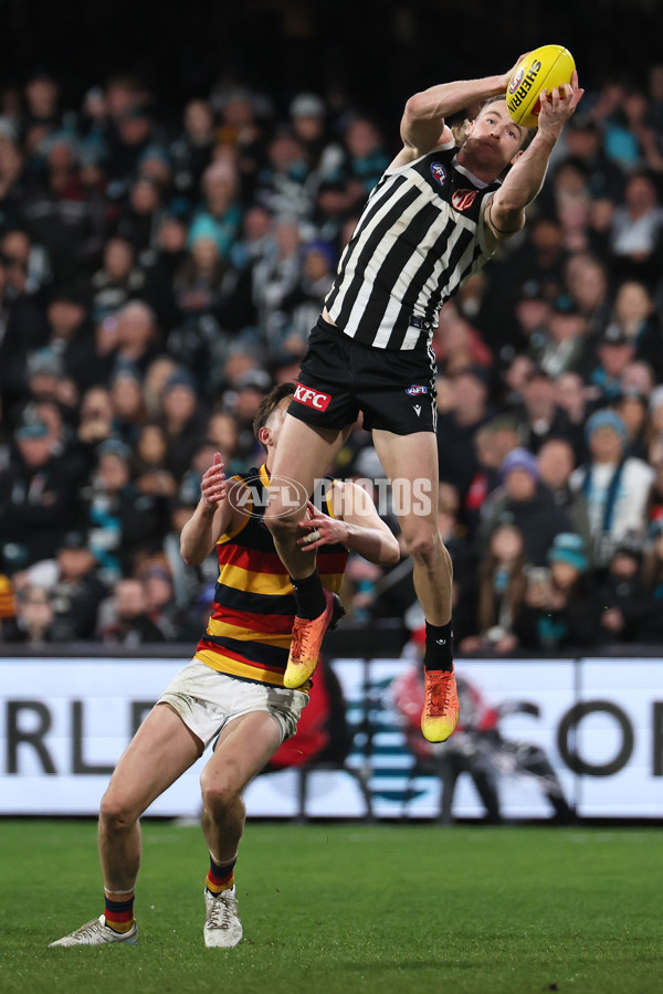 AFL 2024 Round 23 - Port Adelaide v Adelaide - A-53111270