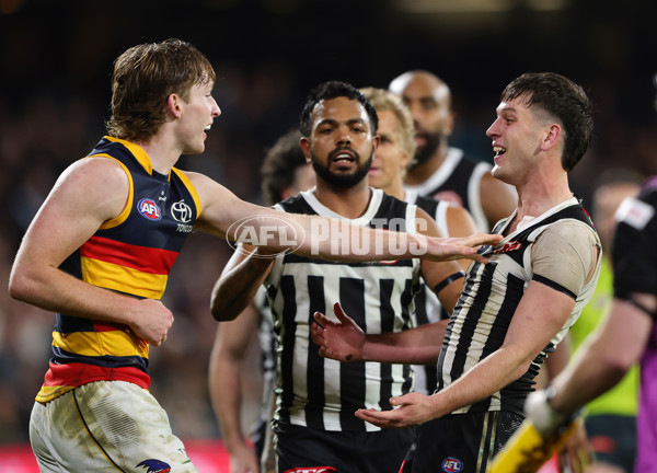 AFL 2024 Round 23 - Port Adelaide v Adelaide - A-53111276