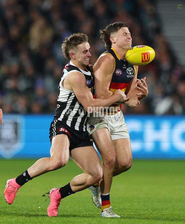 AFL 2024 Round 23 - Port Adelaide v Adelaide - A-53111289