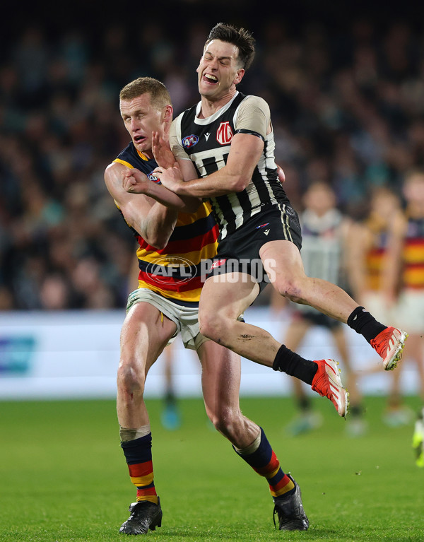 AFL 2024 Round 23 - Port Adelaide v Adelaide - A-53112264