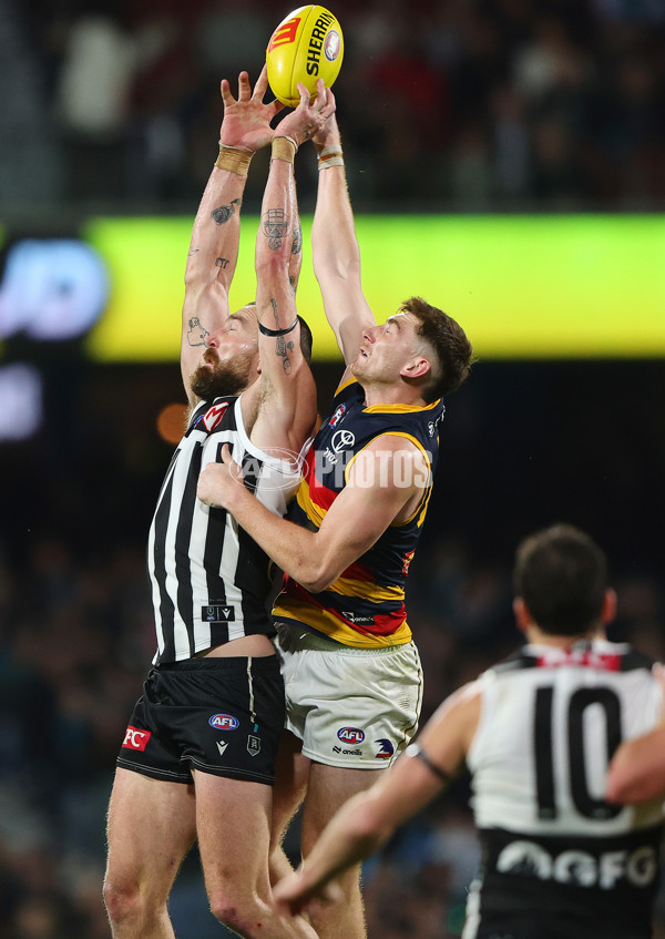 AFL 2024 Round 23 - Port Adelaide v Adelaide - A-53112268