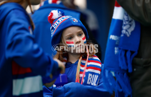 AFL 2024 Round 23 - Western Bulldogs v North Melbourne - A-53114065