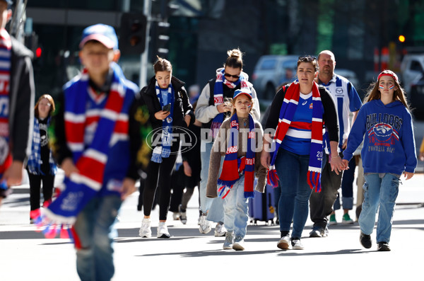 AFL 2024 Round 23 - Western Bulldogs v North Melbourne - A-53114066