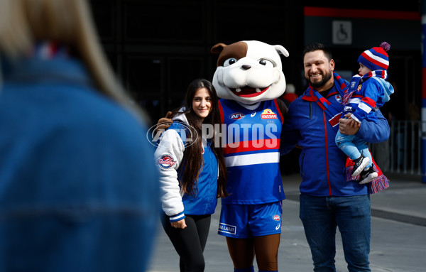 AFL 2024 Round 23 - Western Bulldogs v North Melbourne - A-53114067