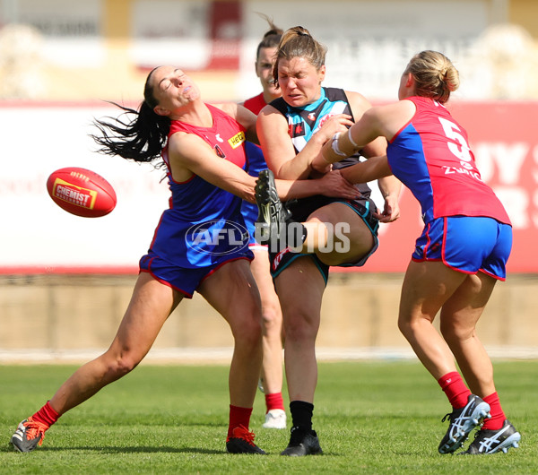 AFLW 2024 Practice Match - Port Adelaide v Melbourne - A-53114081